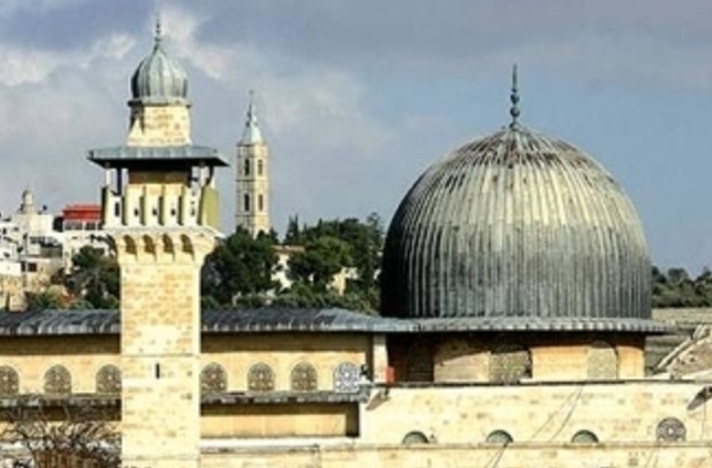 تركيا تعيش آلام فلسطين