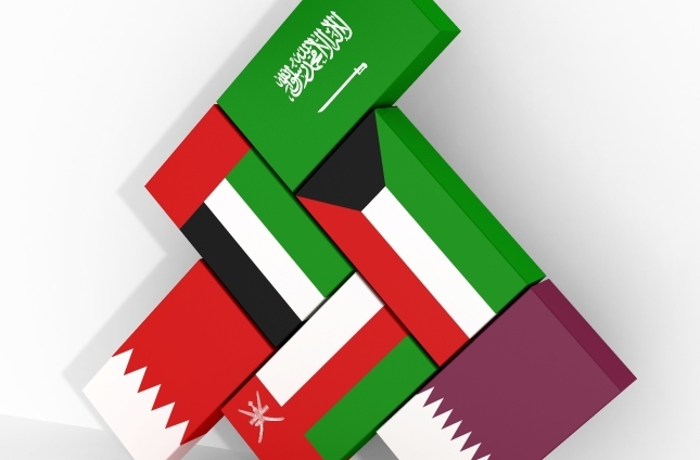 المملكة العربية السعودية والإمارات العربية المتحدة، "درع الخليج"