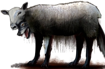 رسالة مفتوحة إلى ملوك وأمراء ورؤساء الدول في مجلس التعاون الخليجي