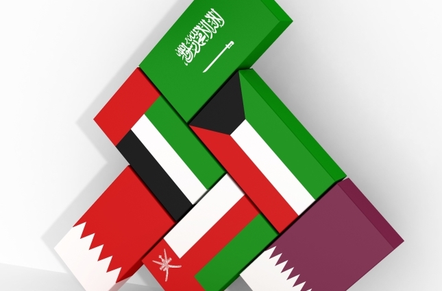 Saudi and the UAE, the ‘Shield of the Gulf’