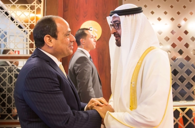 الإمارات ومصر تتشاركان روابط متينة لا تنفصم