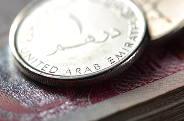 الاقتصاد الإماراتي يحمل بوادر التفوق إقليمياً
