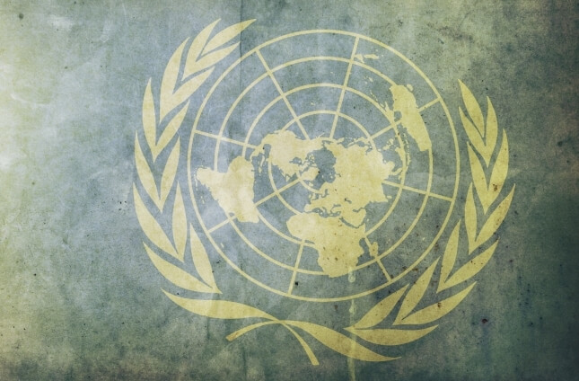 Tough response needed to counter UN slander